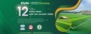 DVn ngành cỏ nhân tạo