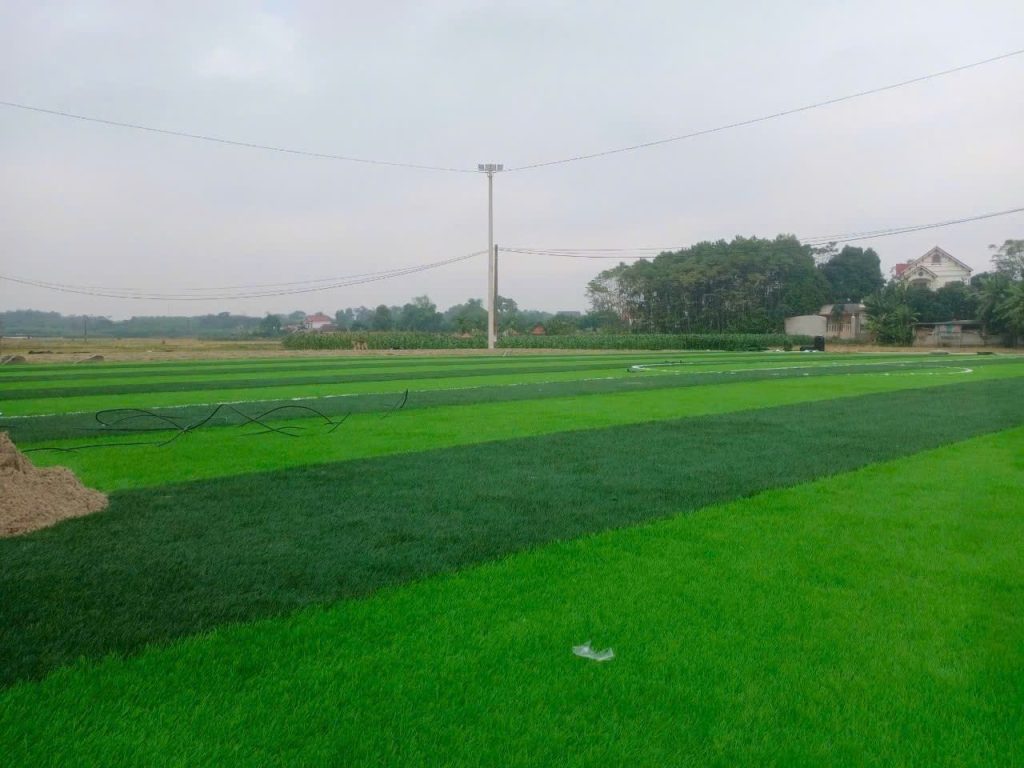 sna bong kha sơn, thái nguyên chuẩn bị hoàn thiện cỏ san bóng DVN