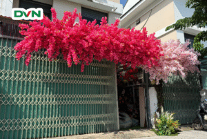 Hoa lụa đẹp